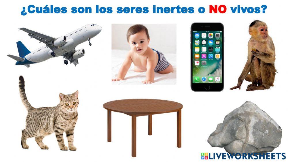 Seres vivos e inertes-1