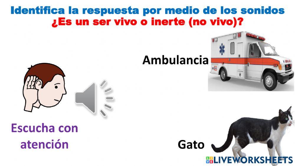 Seres vivos e inertes SONIDOS