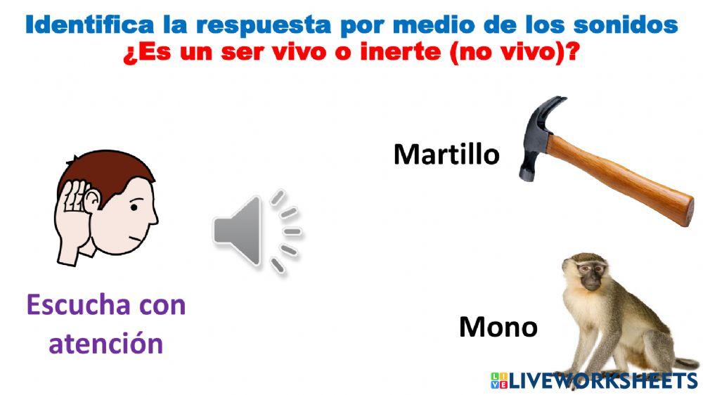 Seres vivos e inertes SONIDOS