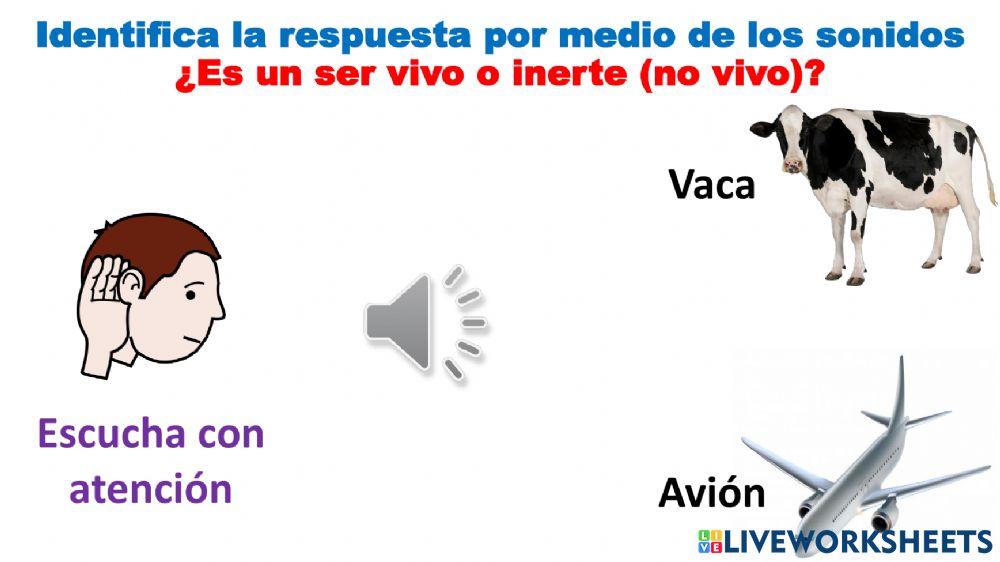 Seres vivos e inertes SONIDOS