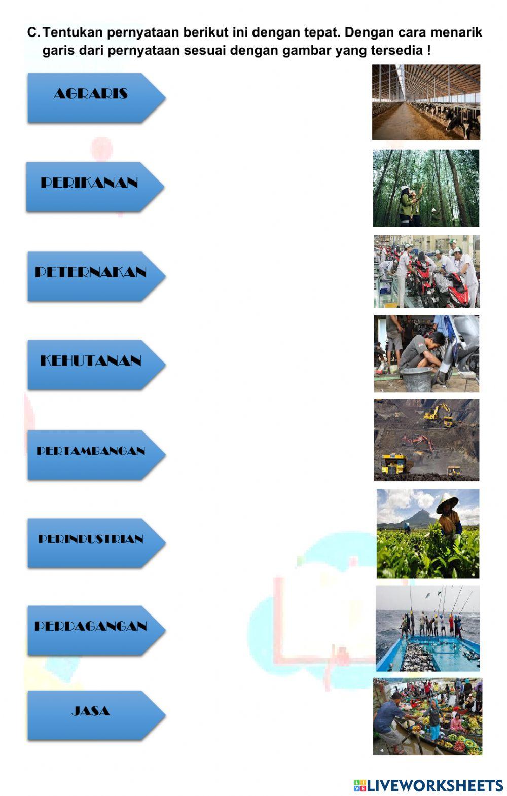 Jenis-jenis Usaha Ekonomi Masyarakat