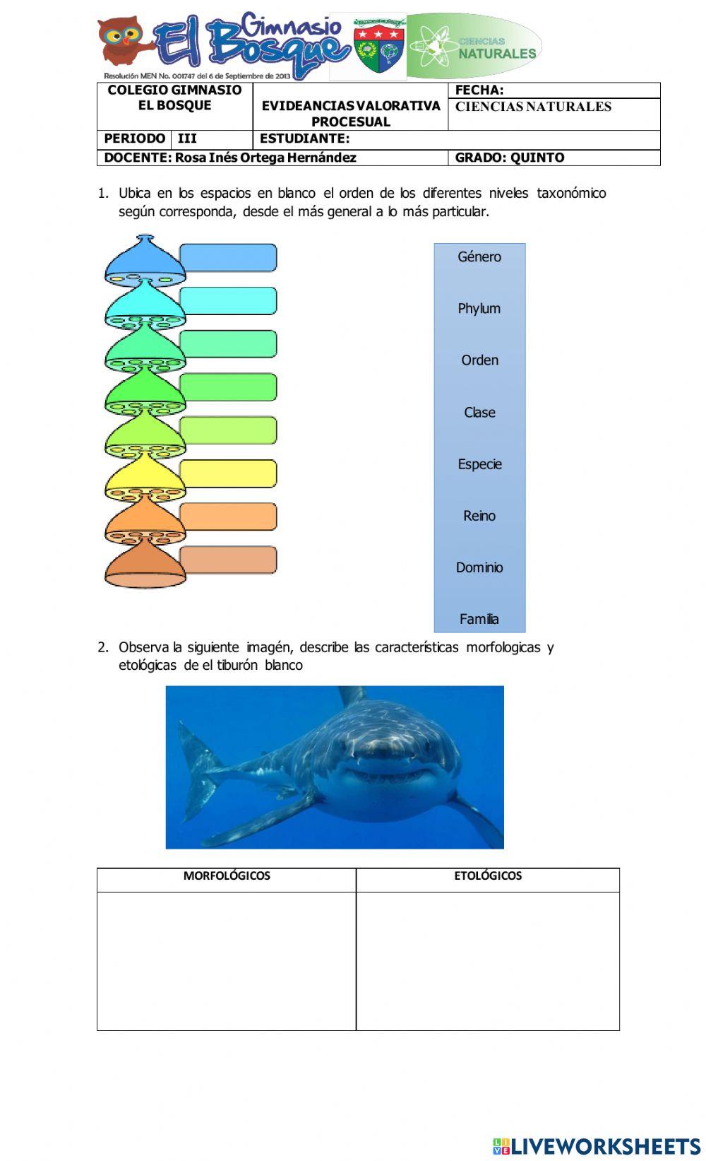 quiz niveles y caracteres taxonómicos