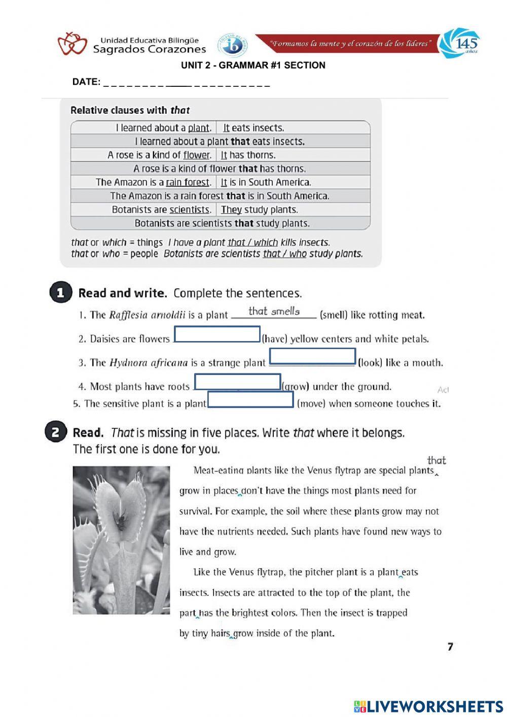 Relative Clause that