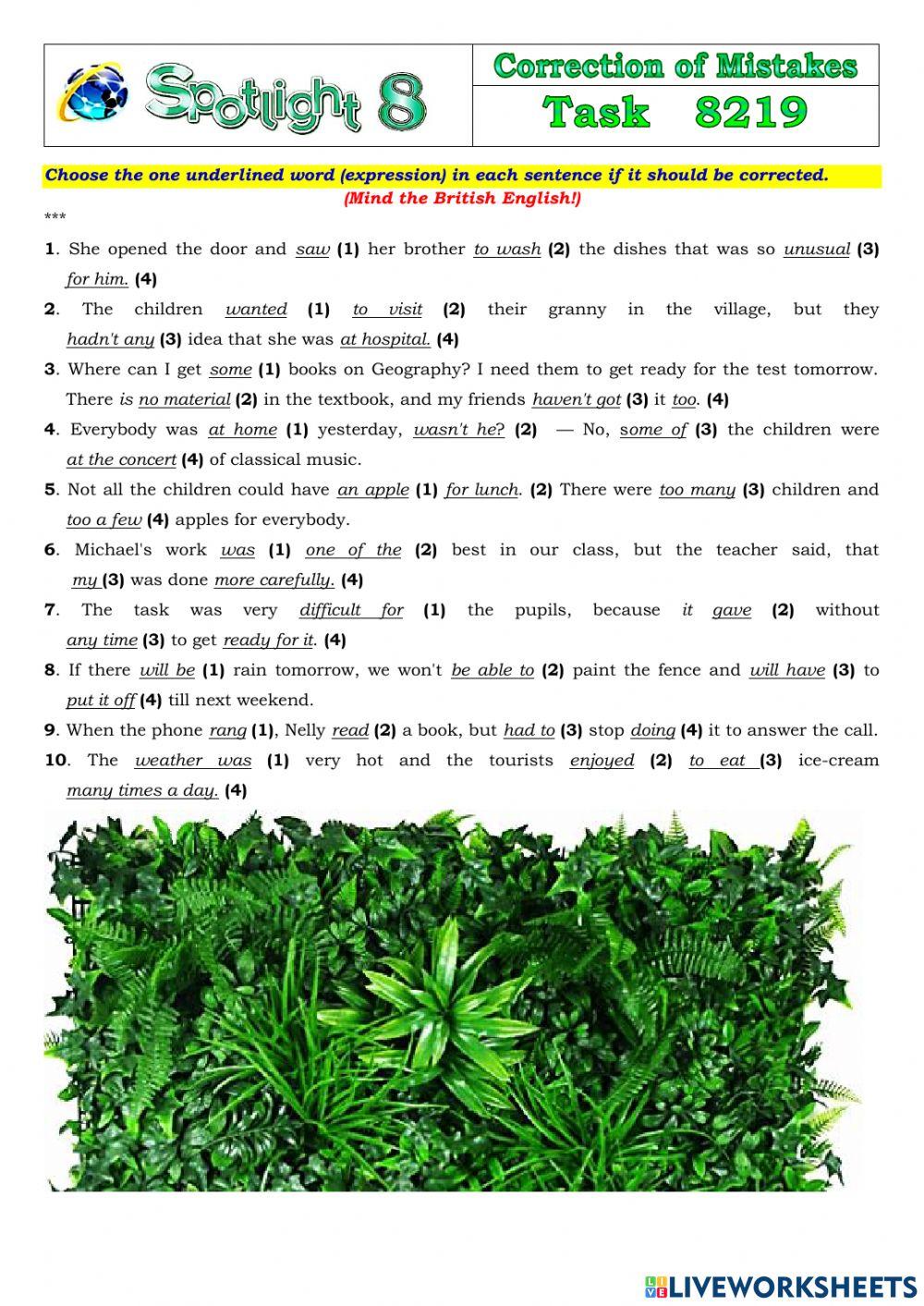 Spotlight 8 Task 8219
