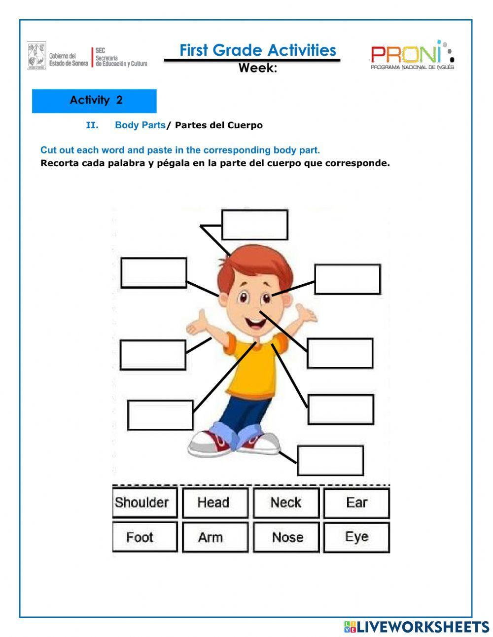 Diagnostic Test First Grade PRONI