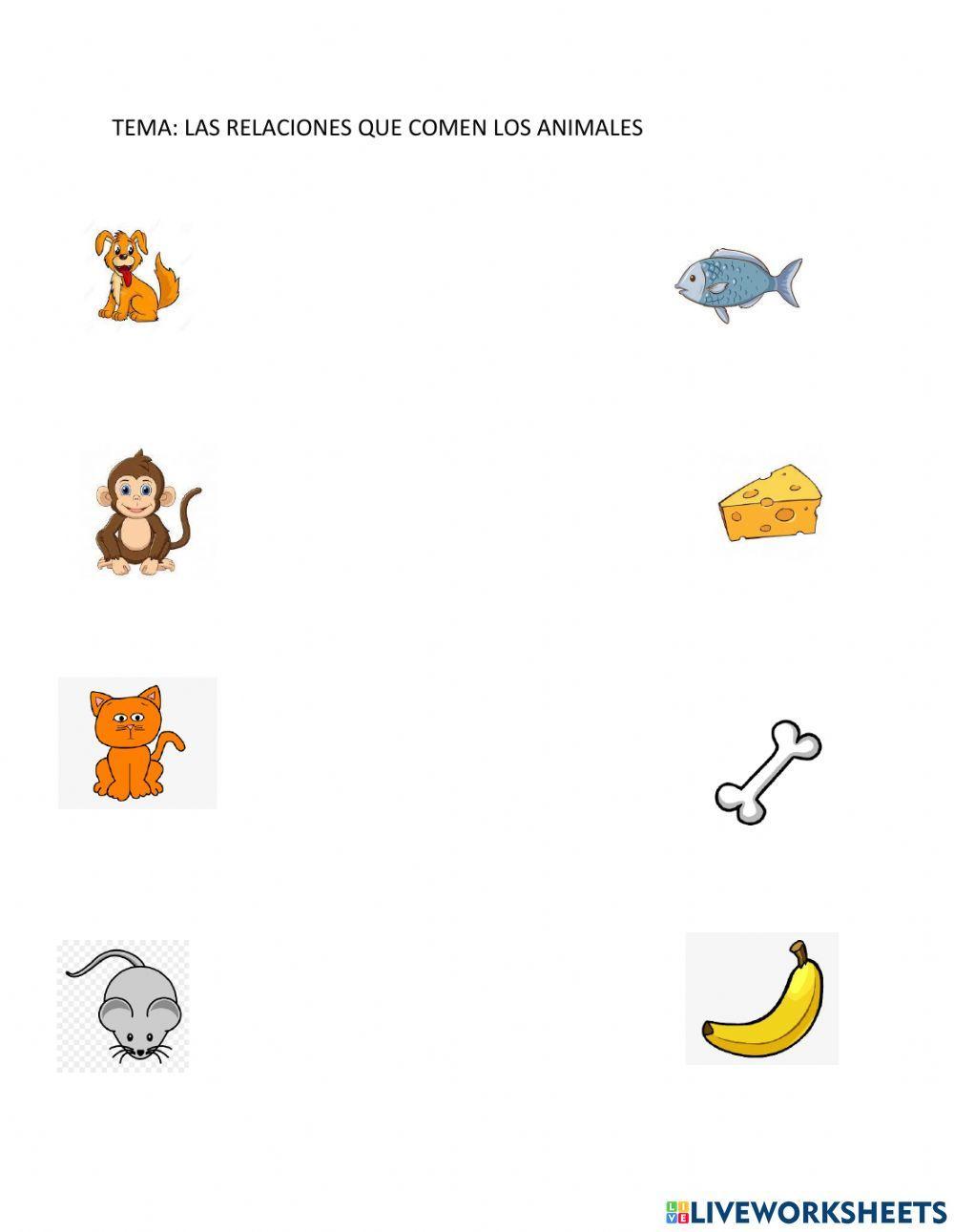 Relación con los animales