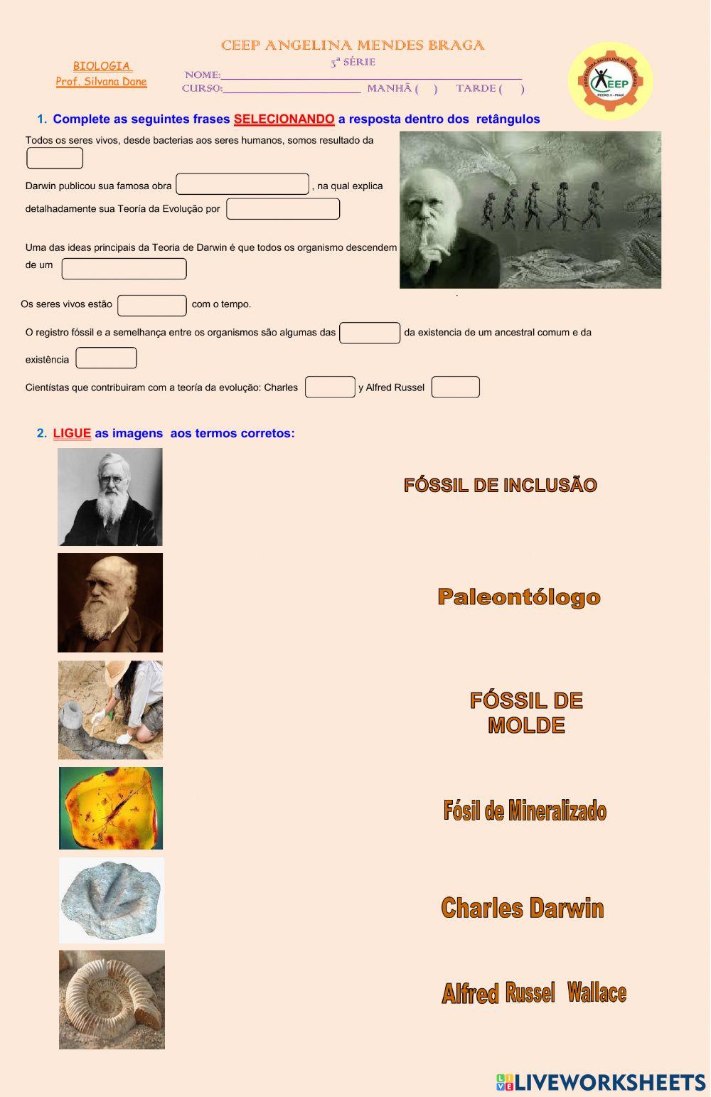 Introduçãoa evolução