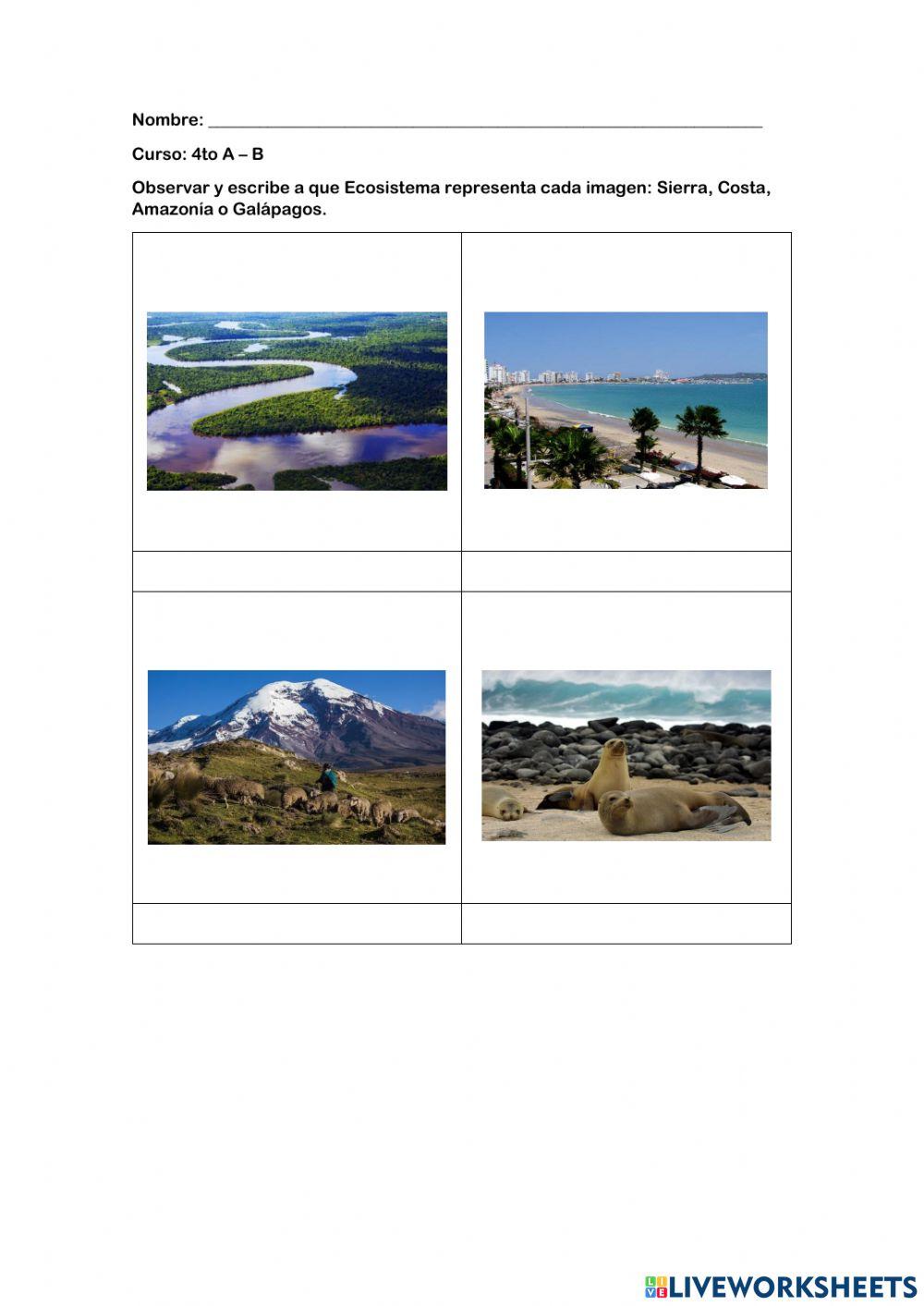 Ecosistemas  Amazonía y Galápagos