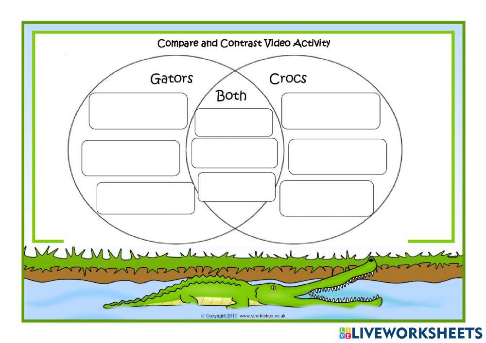 Gators vs Crocodiles Video Activity
