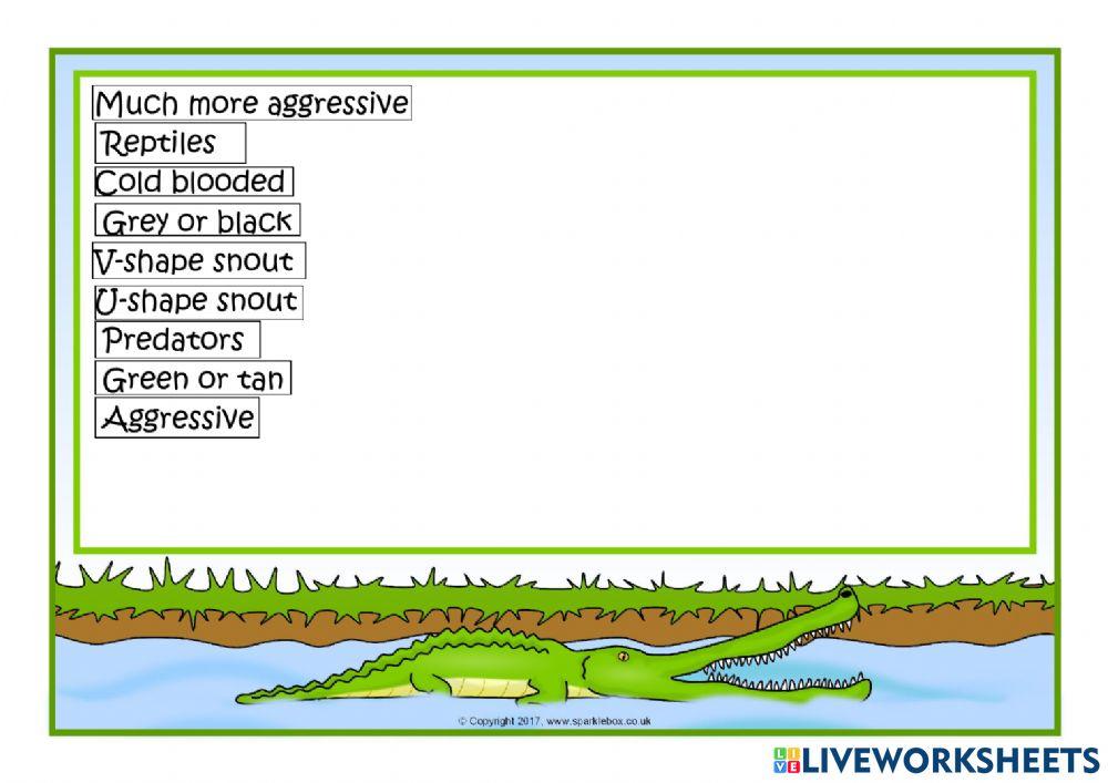 Gators vs Crocodiles Video Activity