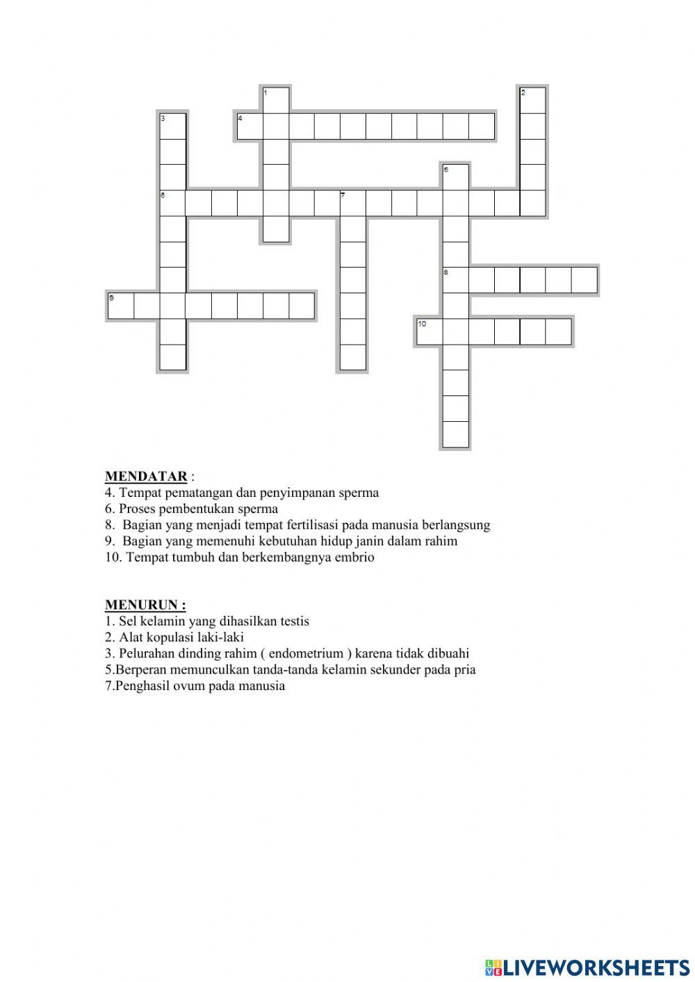 LKPD Sistem Reproduksi pada Manusia