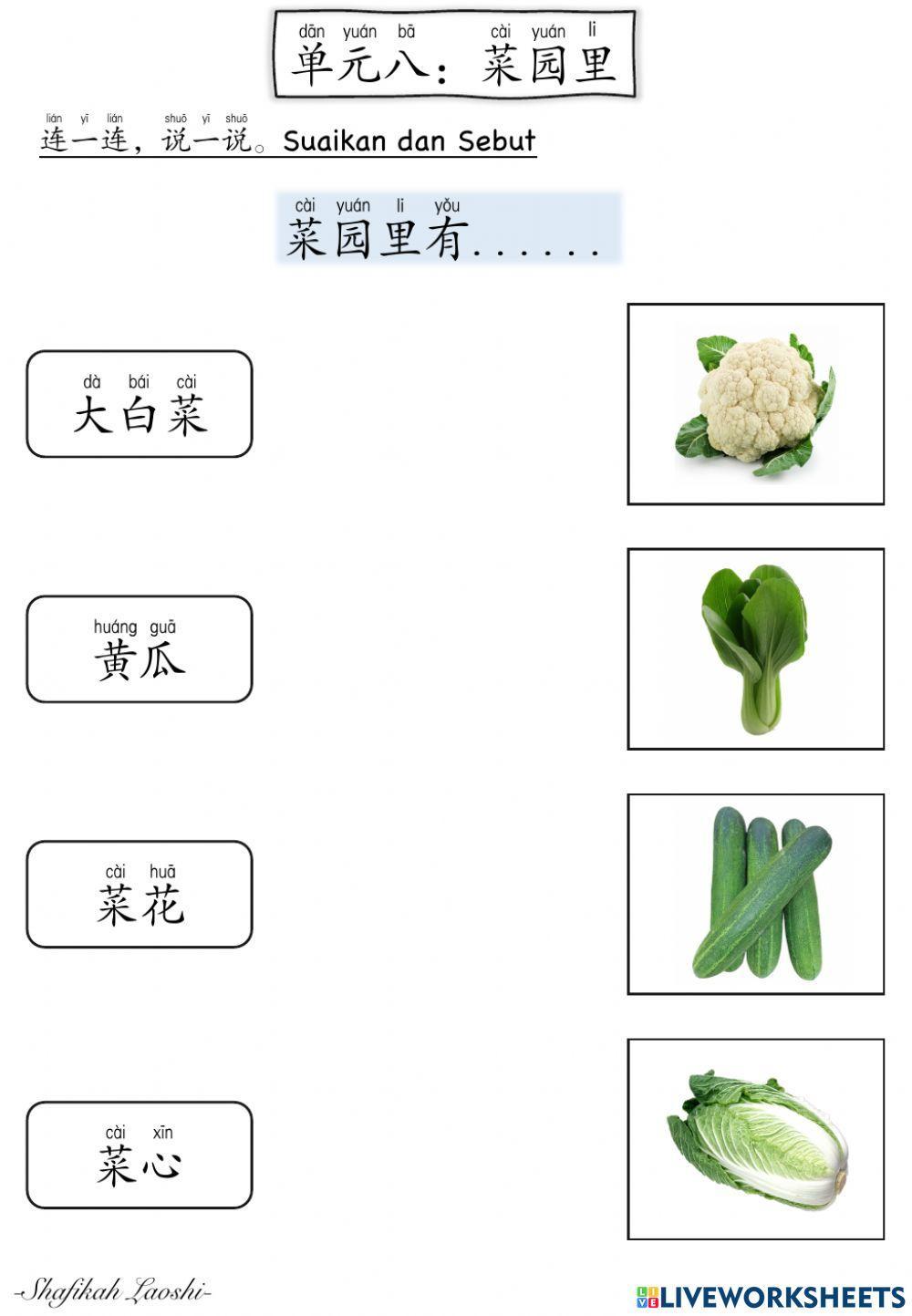 Bcsk t3 单元八：菜园里