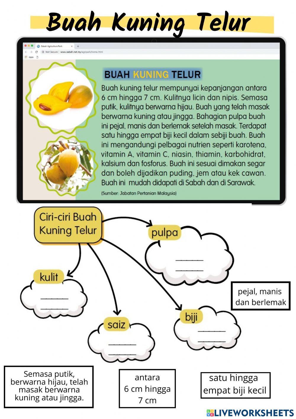 Buah Kuning Telur