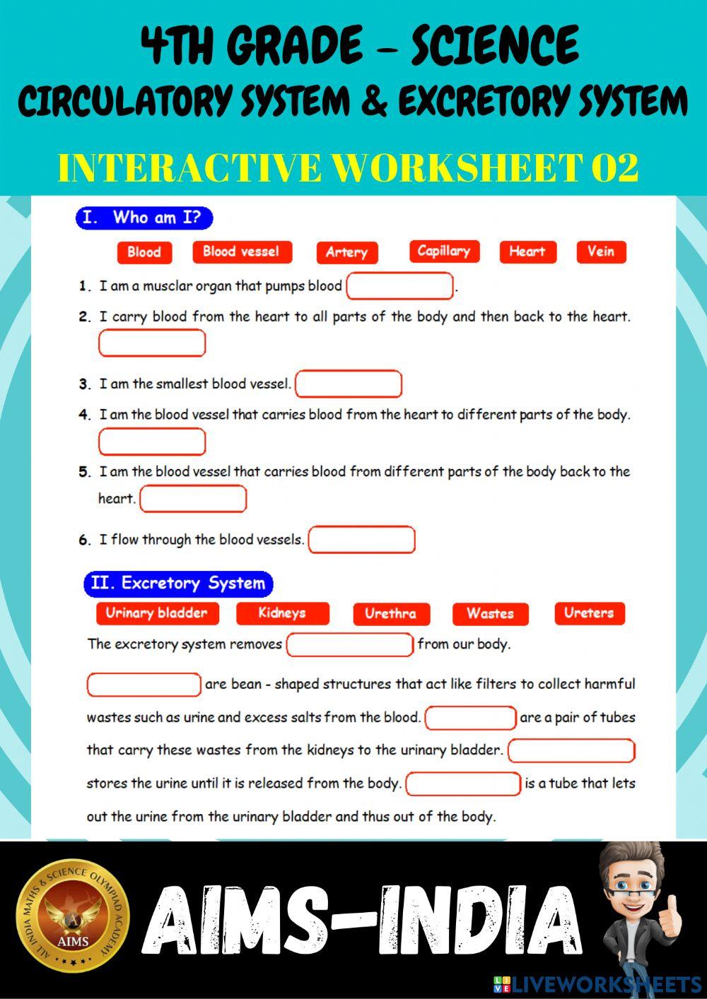 4th-science-ps02-circulatory system & excretory system