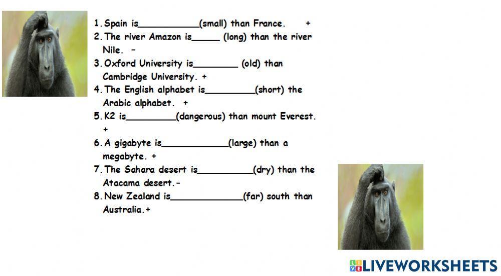 Night quiz student 1
