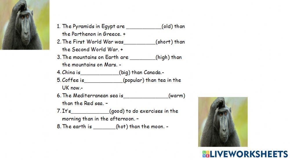 Night quiz student 2