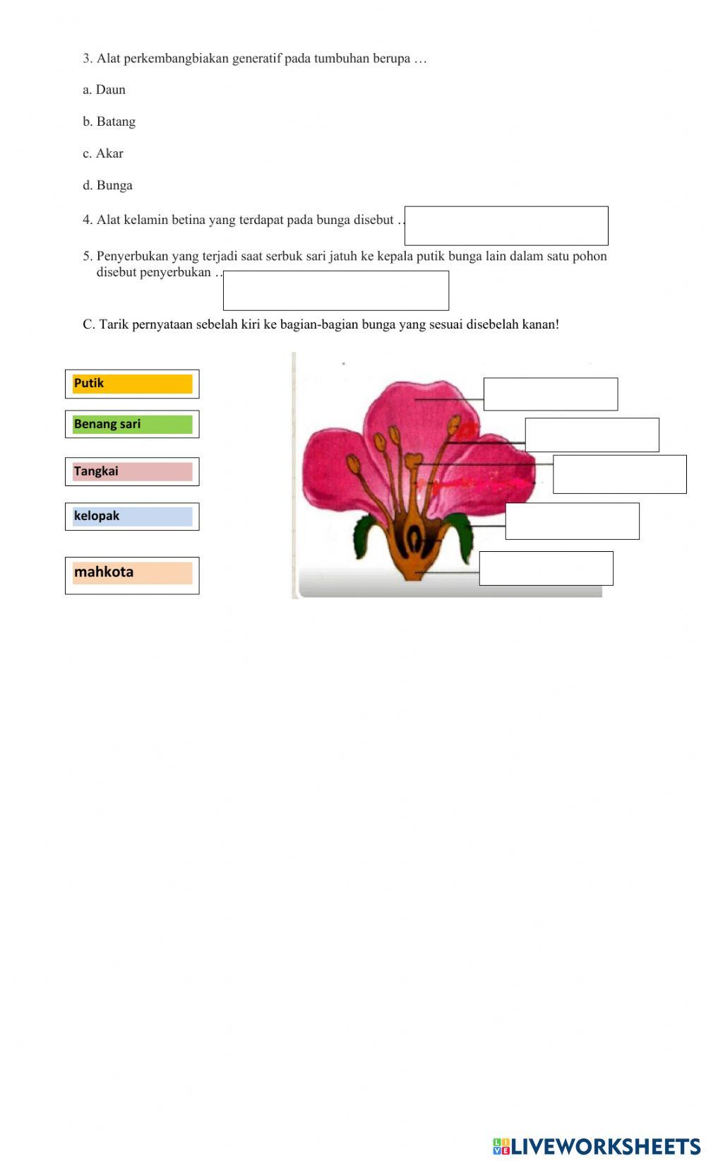 Perkembangbiakan pada tumbuhan