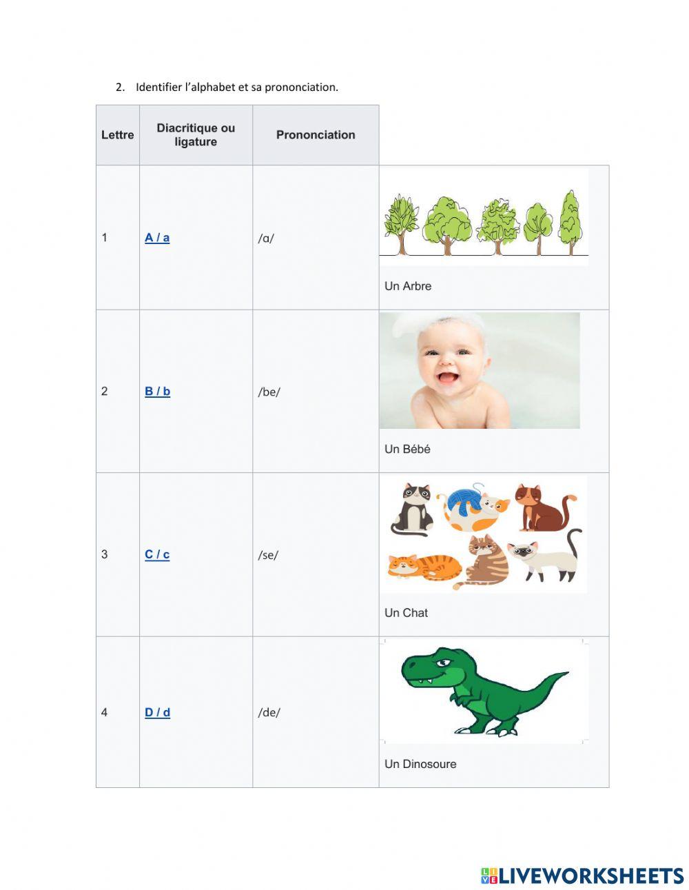 Règles de prononciation- Prof Alejandra E