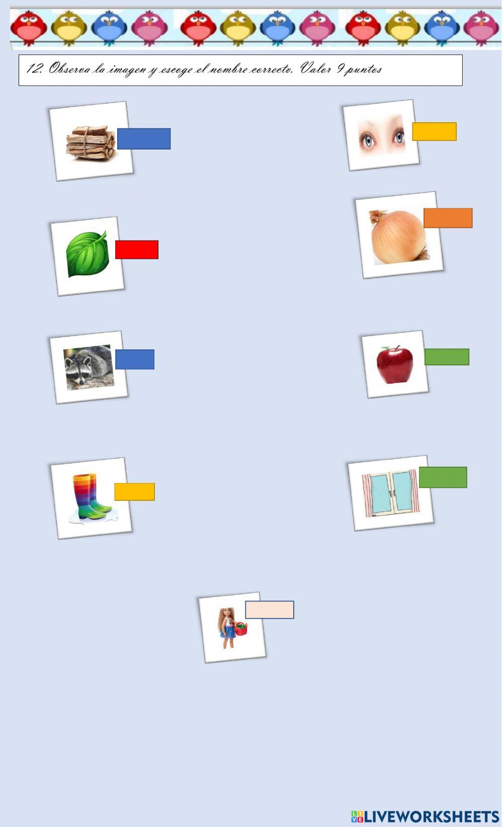 Conocimientos generales