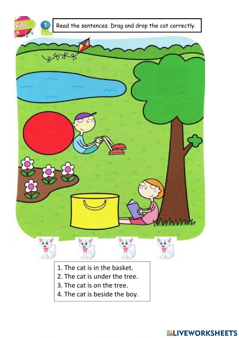 Year 1 Supermind : Preposition