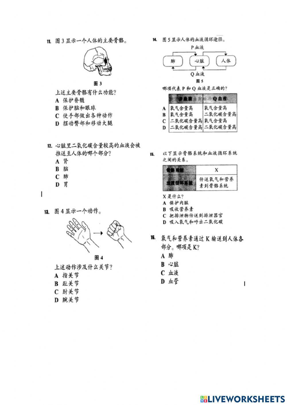 五年级科学 评审