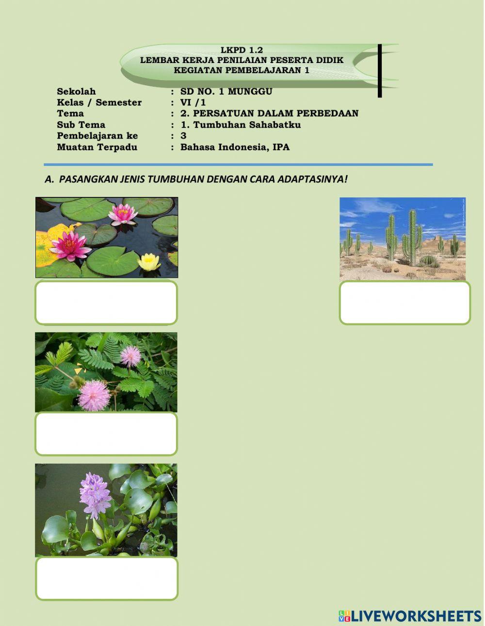 Tema 2 Subtema 1 Pemb.3