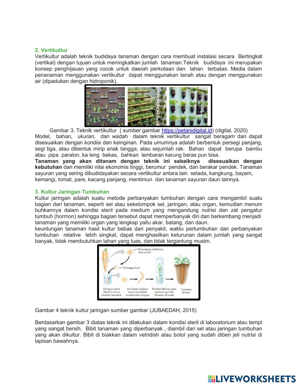 Lkpd reproduksi tumbuhan dan hewan