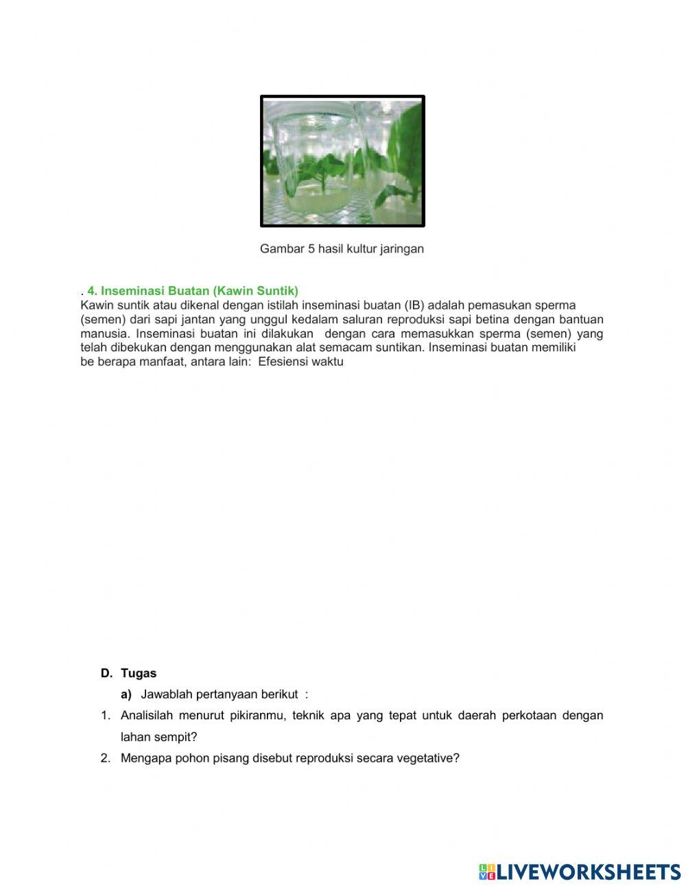 Lkpd reproduksi tumbuhan dan hewan