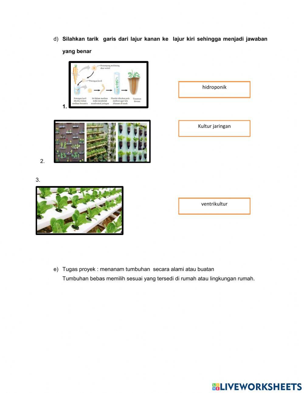 Lkpd reproduksi tumbuhan dan hewan