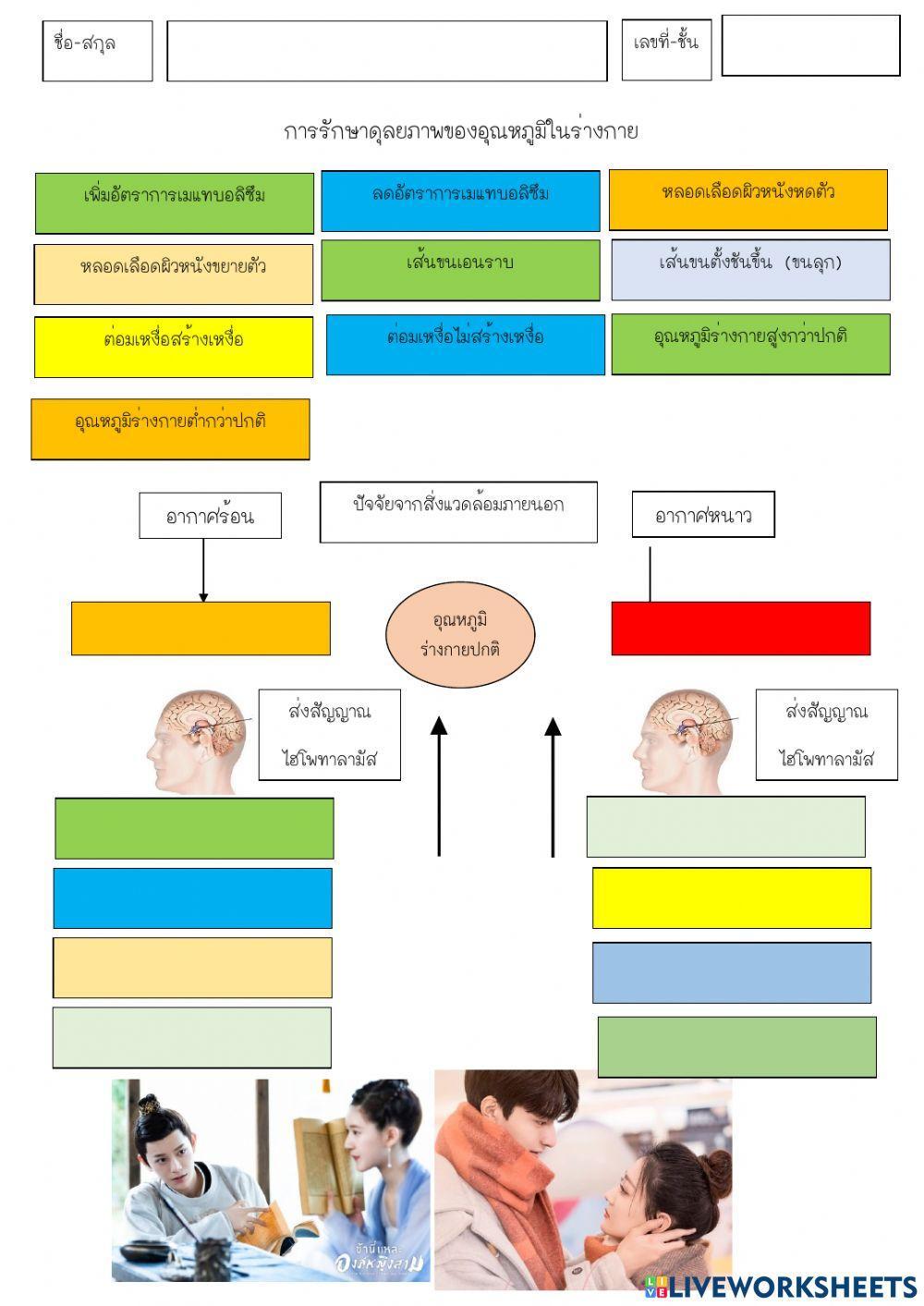 สมดุลอุณหภูมิ