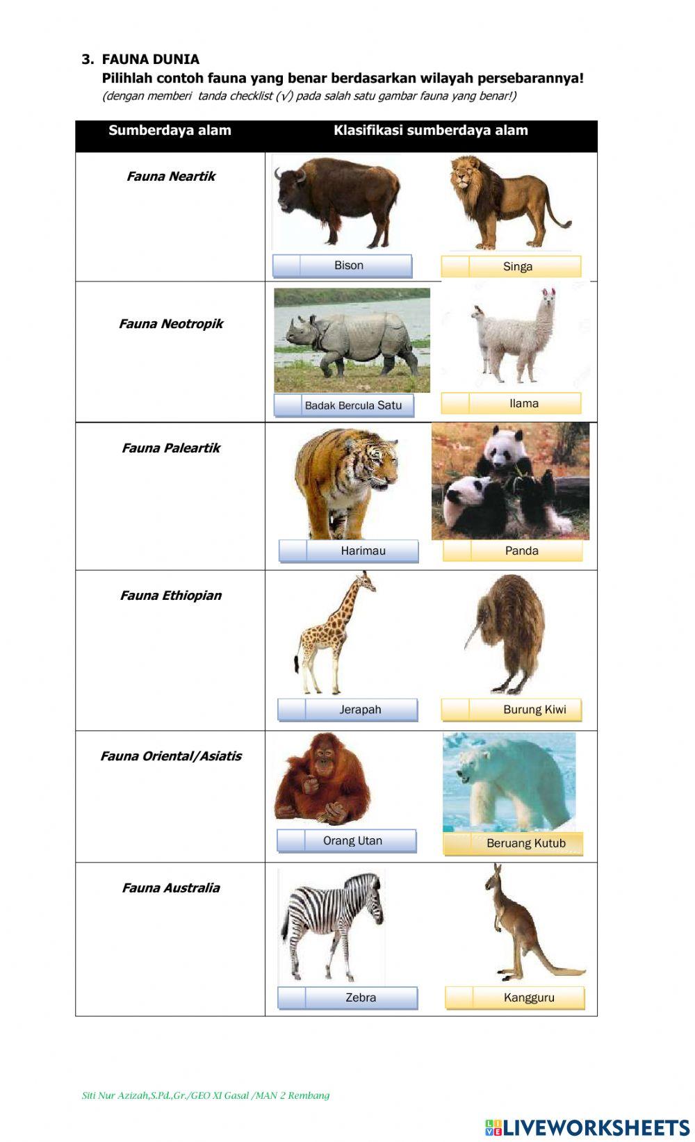 Persebaran flora dan fauna dunia