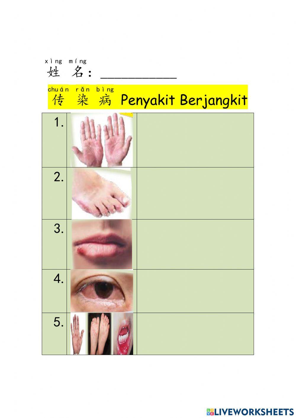 二年级健康教育