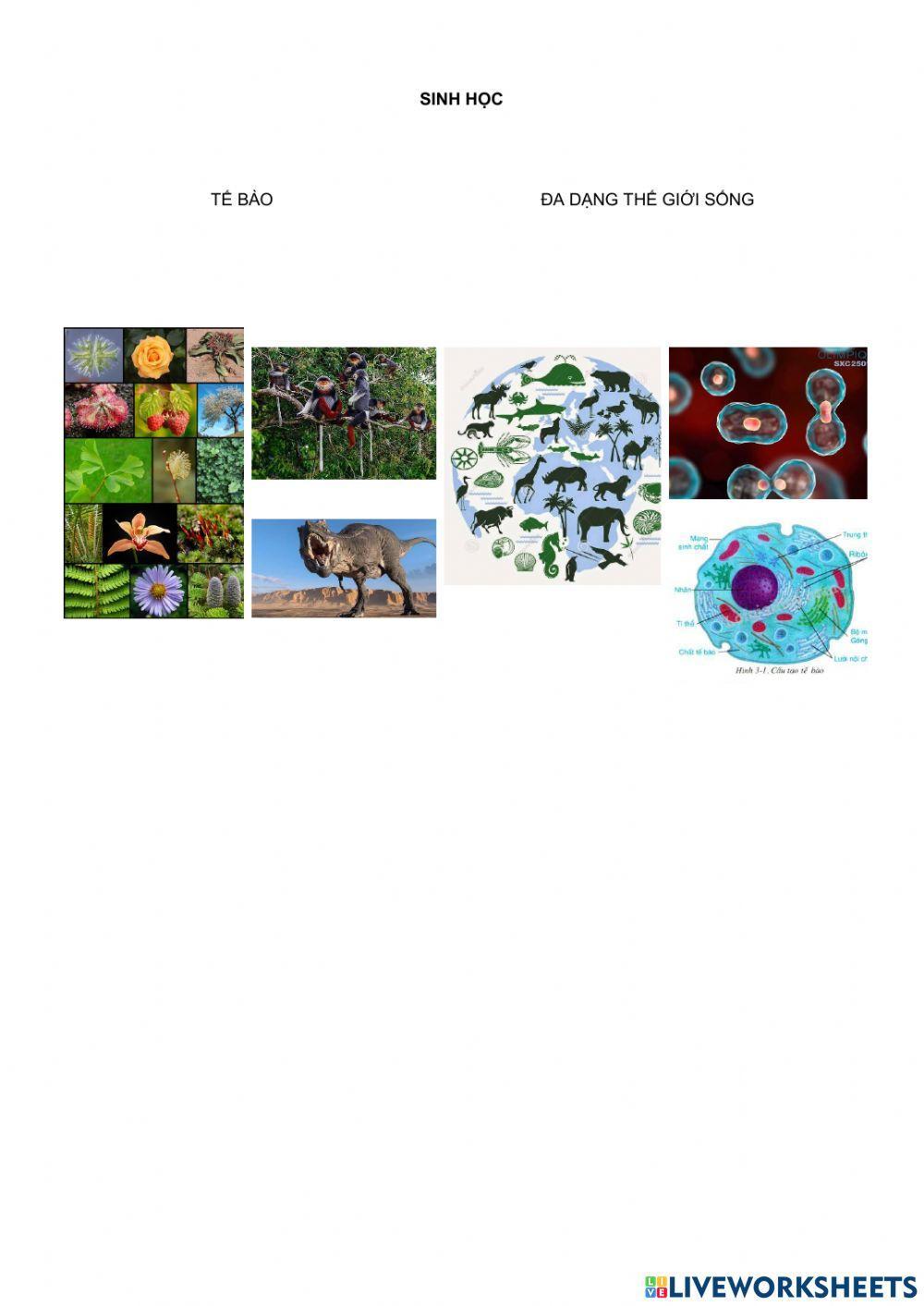 Hoá học và sinh học