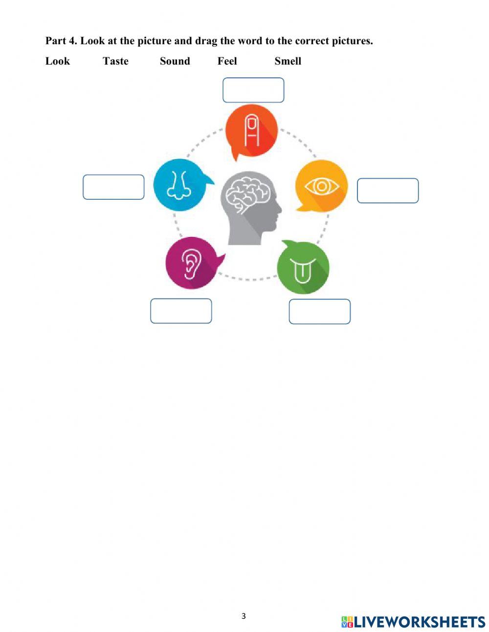 Show and tell 2: Final test
