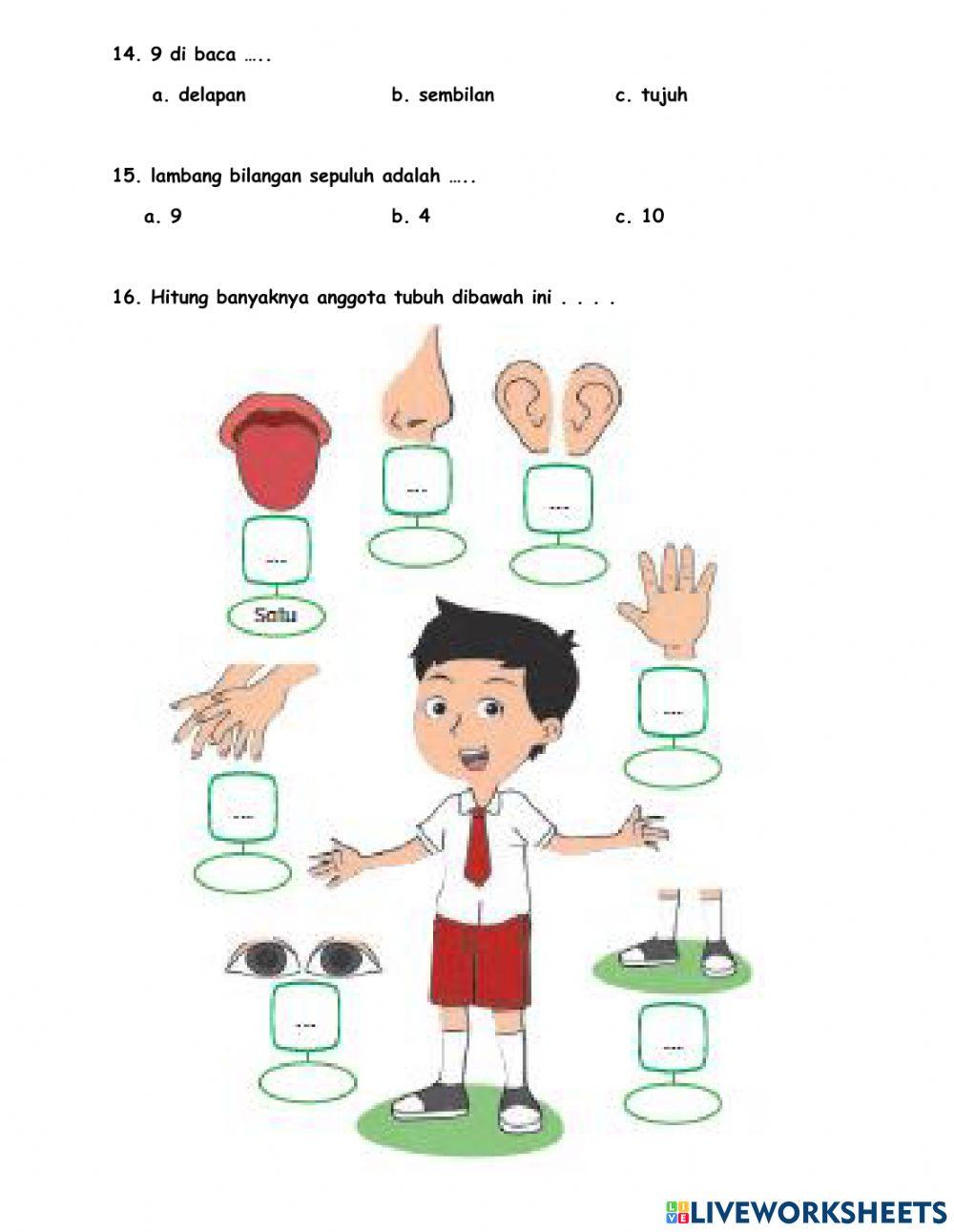 Ulangan tema 1 subtema 1 dan 2