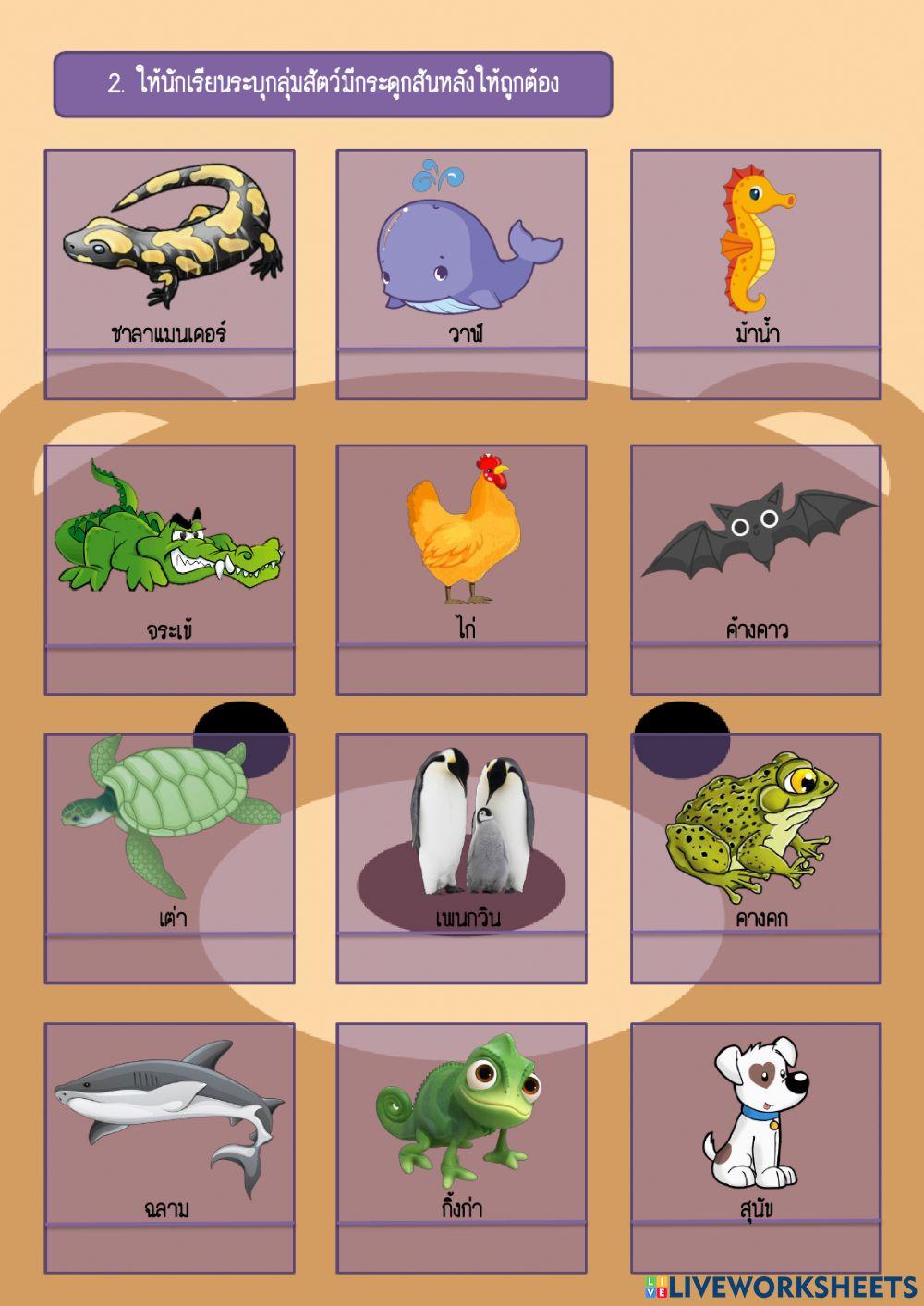 สัตว์มีกระดูกสันหลัง