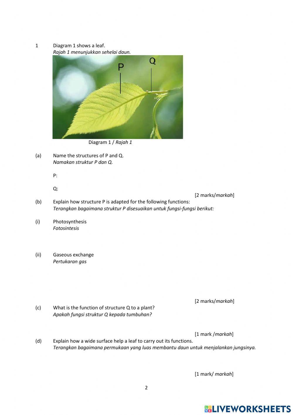 Latihan bio 2 form 5