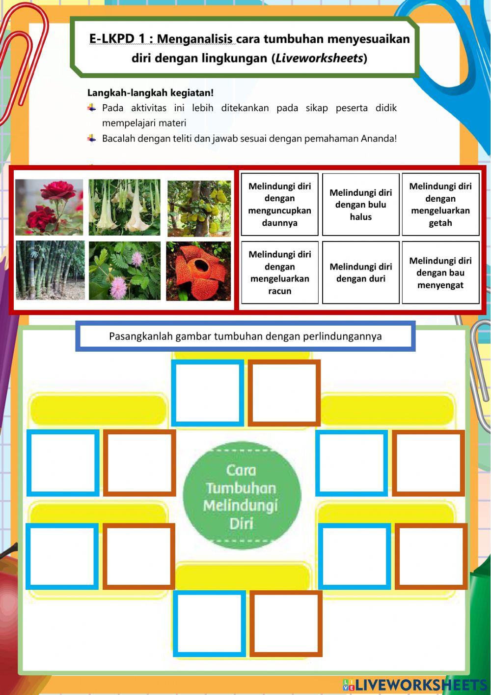 Cara Adaptasi Tumbuhan