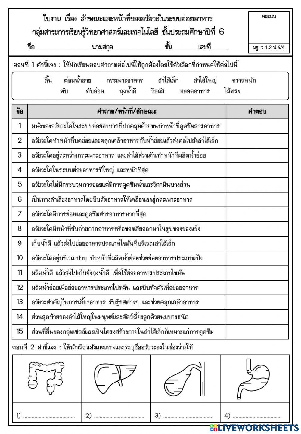 ลักษณะและหน้าที่ของอวัยวะในระบบย่อยอาหาร