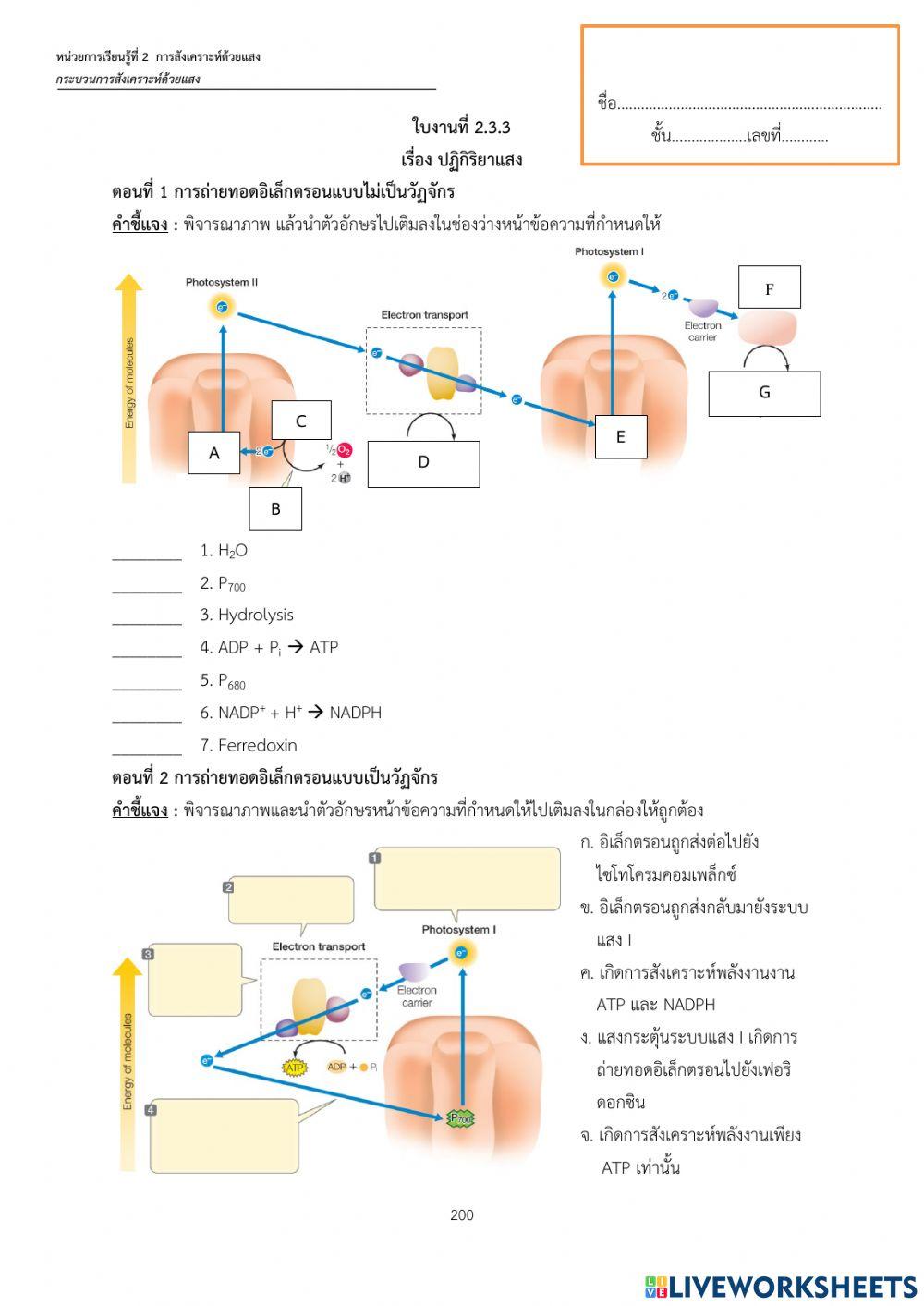 การถ่ายทอดอิเล็กตรอน