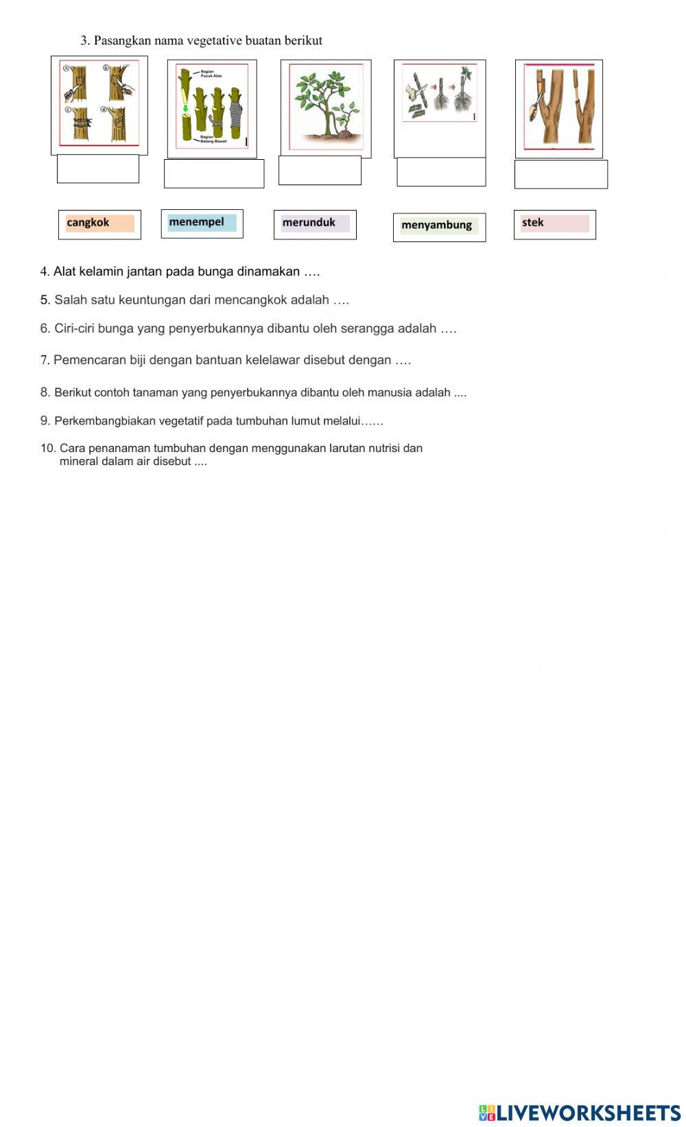 LKPD Perkembangbiakan tumbuhan