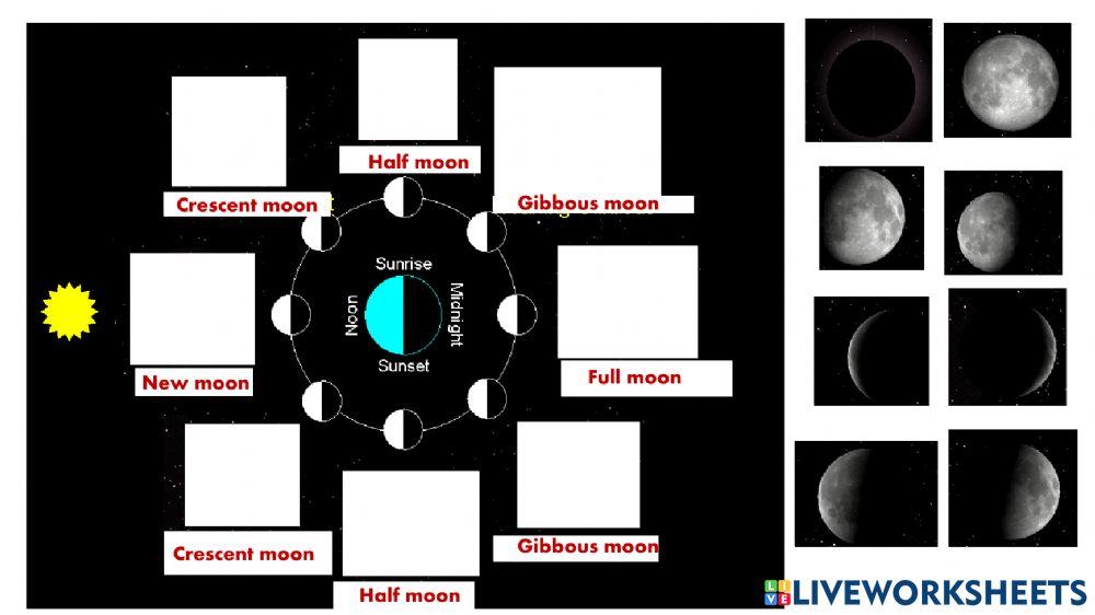 Phases of moon