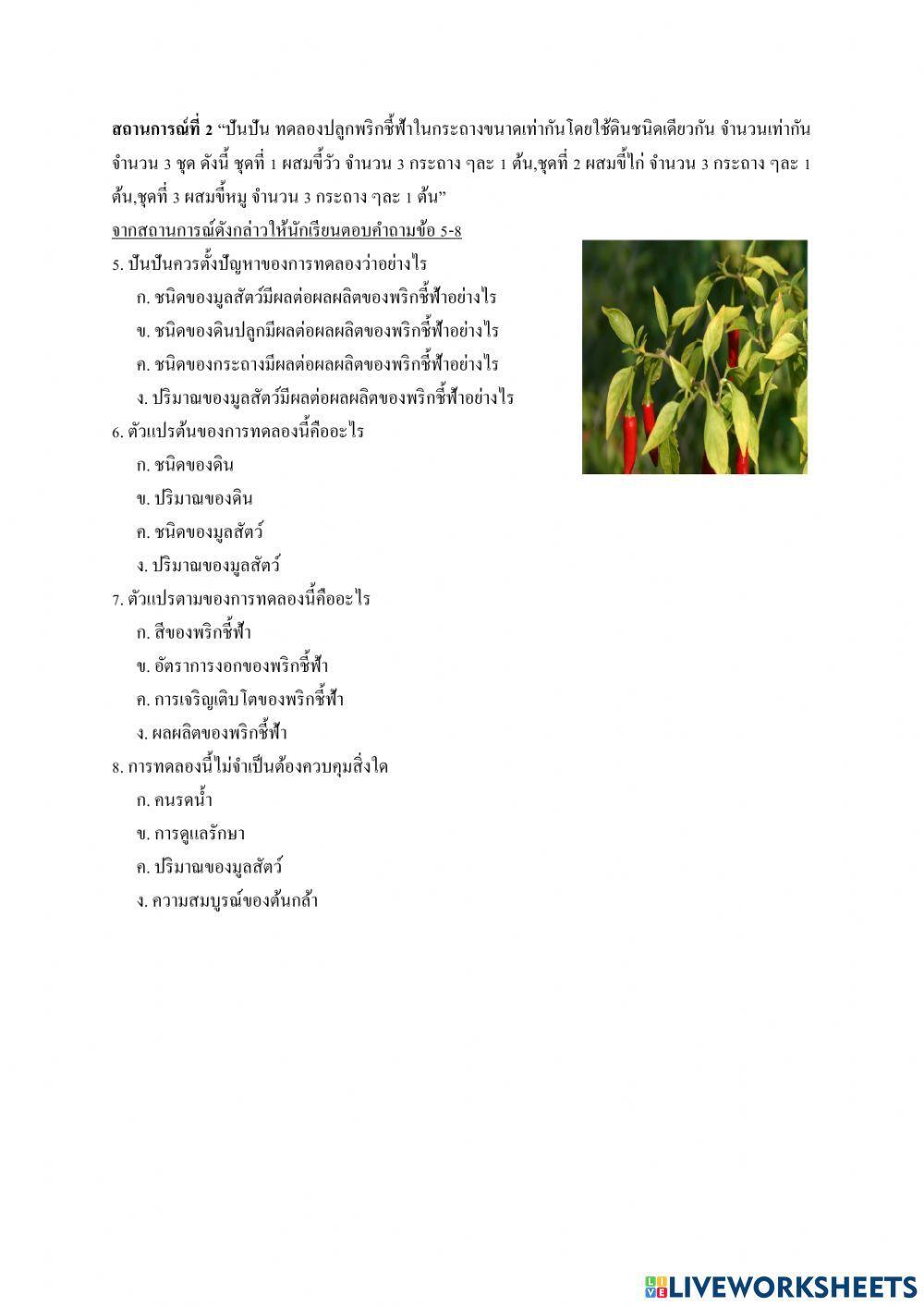 ทักษะวิทยาศาสตร์