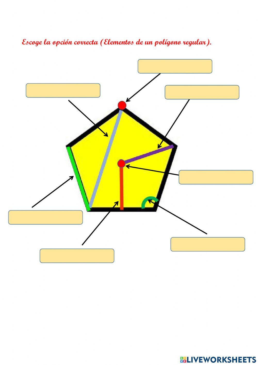 Elementos Polígonos regulares