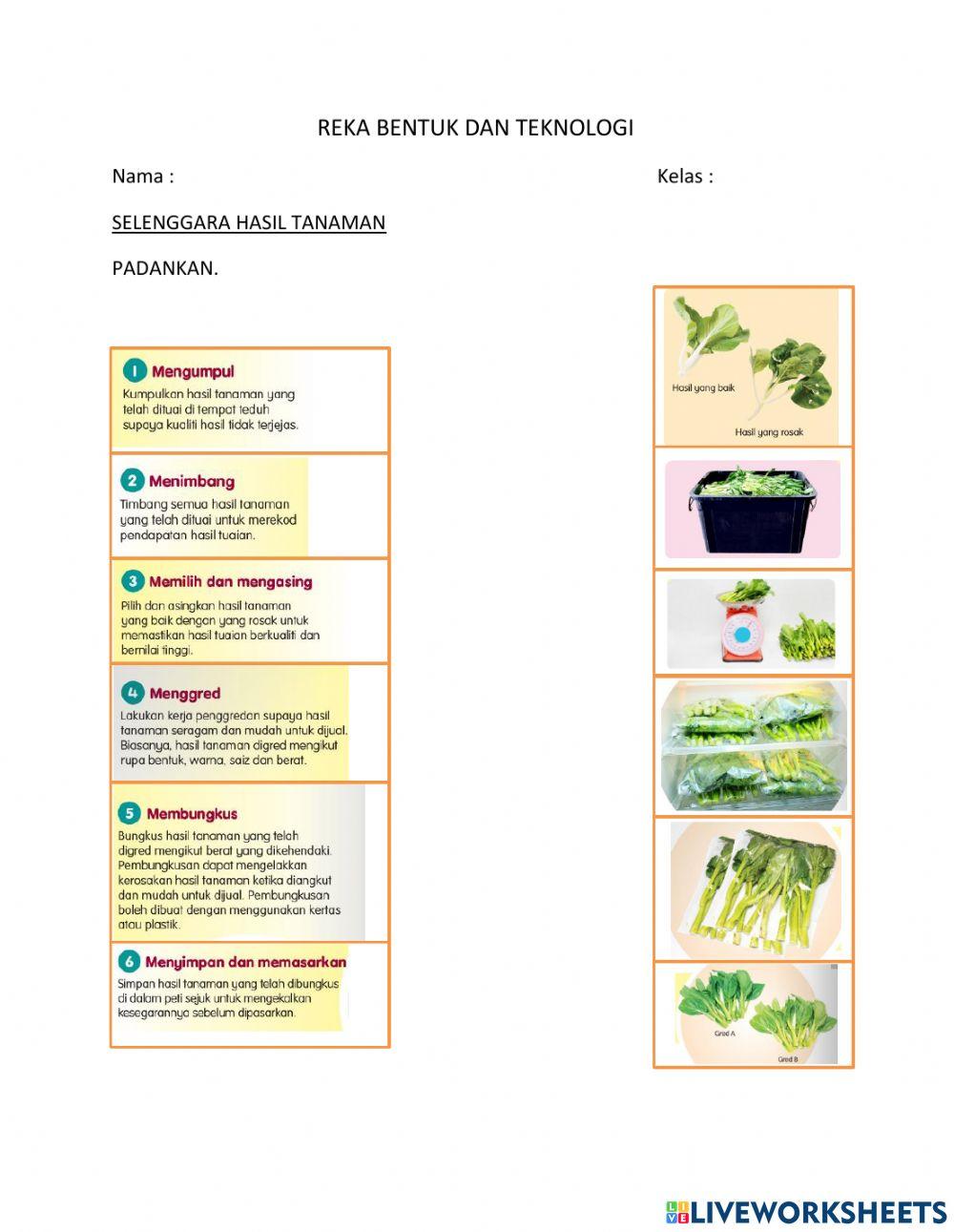 Selenggara hasil tanaman