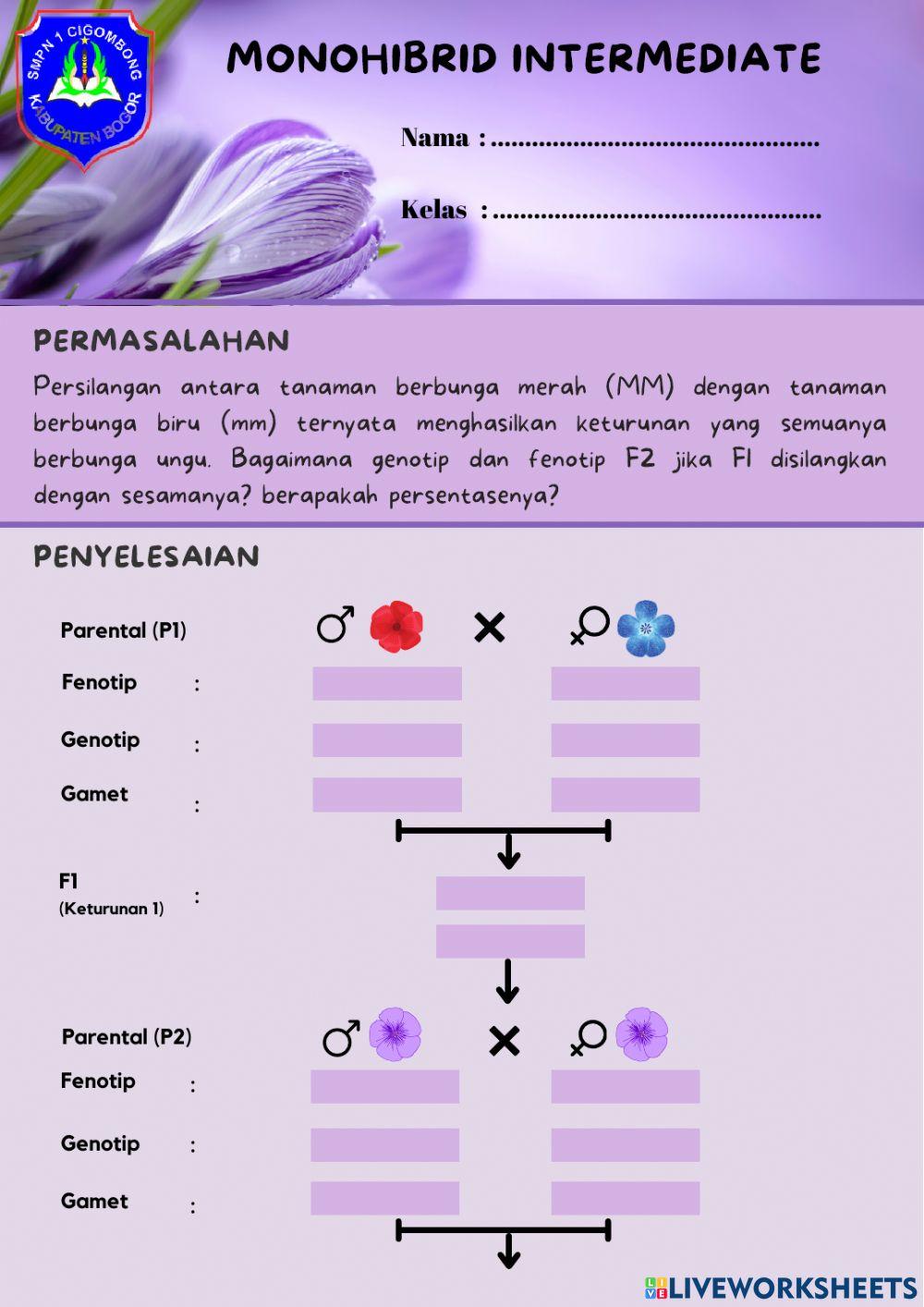IX - PERTEMUAN 5 - MONOHIBRID INTERMEDIATE