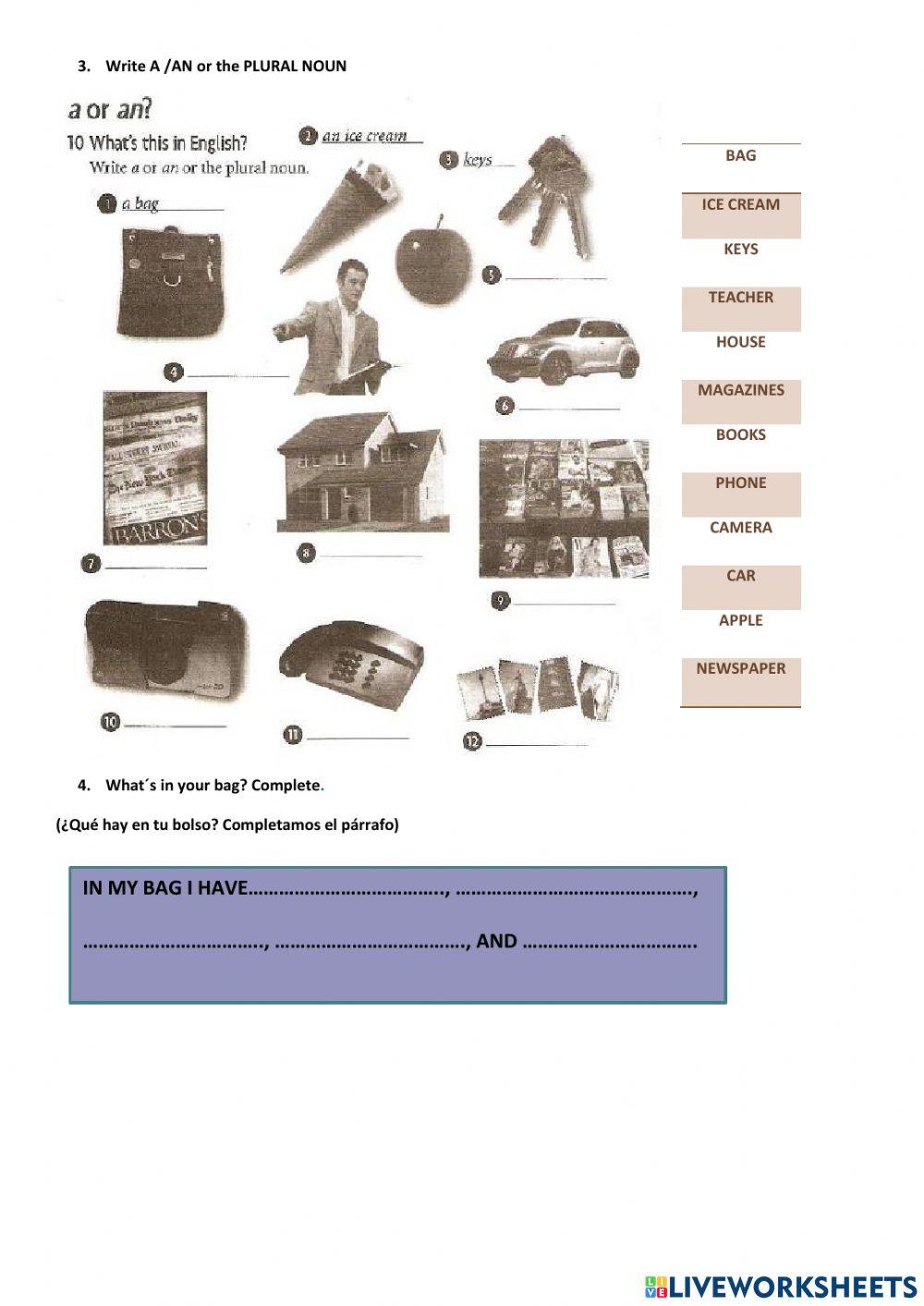Singular and plural nouns