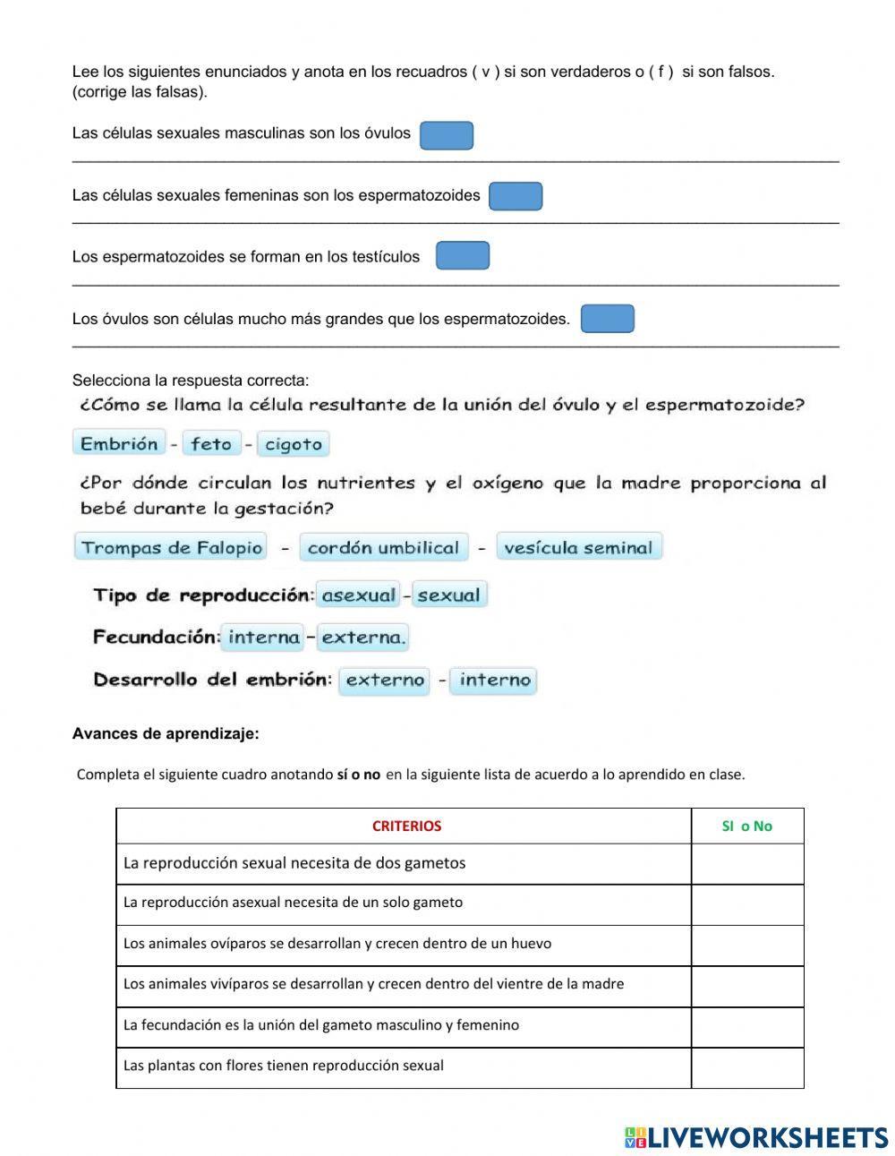 Reproducción humana