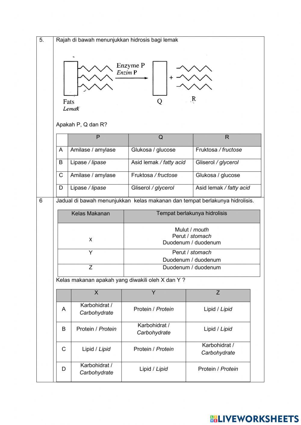 Pencernaan dan asimilasi