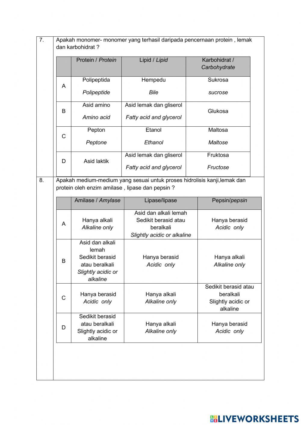 Pencernaan dan asimilasi
